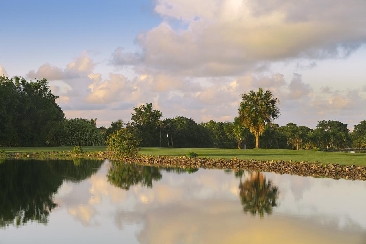 Catalonia Punta Cana Exterior foto The photo depicts a serene landscape featuring a calm body of water that reflects the sky and surrounding greenery. On the left side, there is a small bush or tree, while further back there are more trees. On the right, a palm tree stands prominently